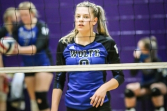 wolfevsbhsdistrictchampionshippics-58