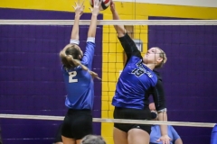 wolfevsbhsdistrictchampionshippics-61