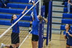 bhsvsleeco-seniornight-29
