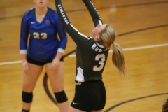 saylersvolleyballhit