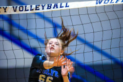 20221031-0161-State-1st-Round-VB-Wolfe-v.-Whitley-10-31-22