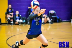 20200917-Johnson-Ginger-Stretch-for-Volley