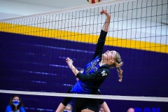 20200917-Johnson-Ginger-Volley-at-Net