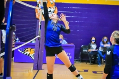 20200917-Johnson-Ginger-at-Net