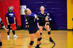 20200917-Noble-Isabella-Volley-up