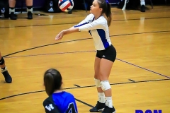 20200917-Wolfe-Libero-Volley