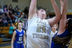 20190206-Hollon to Basket