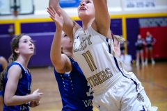 20190206-Tincher to Basket