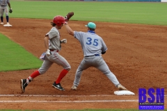 7DM20074