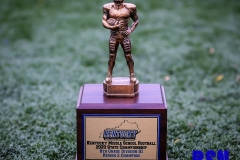 20201114-Region-2-Trophy