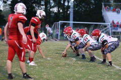 BLUEGRASS-CUT-DOWN-29