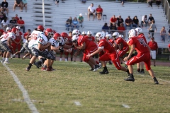 BLUEGRASS-CUT-DOWN-8
