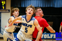 20190121-Rebound-Wide-1-1250x703