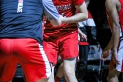 20190307-Back Intro 2