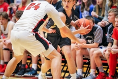 20190302-Back on Napier