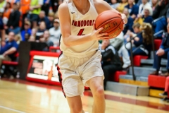 20190302-Chaney on Wing