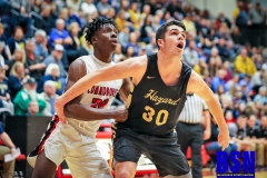 20190302-Hall - Williams FT Rebound