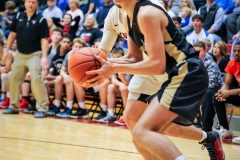 20190302-Napier Baseline