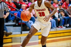 20190302-Reed on Wing