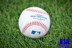 20190503-Baseball-in-Grass
