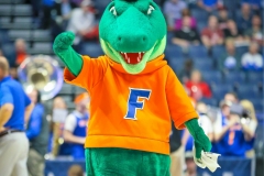 20190314-Gator Close