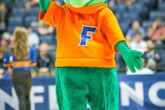 20190314-Gator