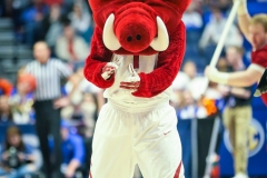 20190314-Hog