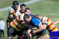 UofKY-Rugby-02_22_2020-11