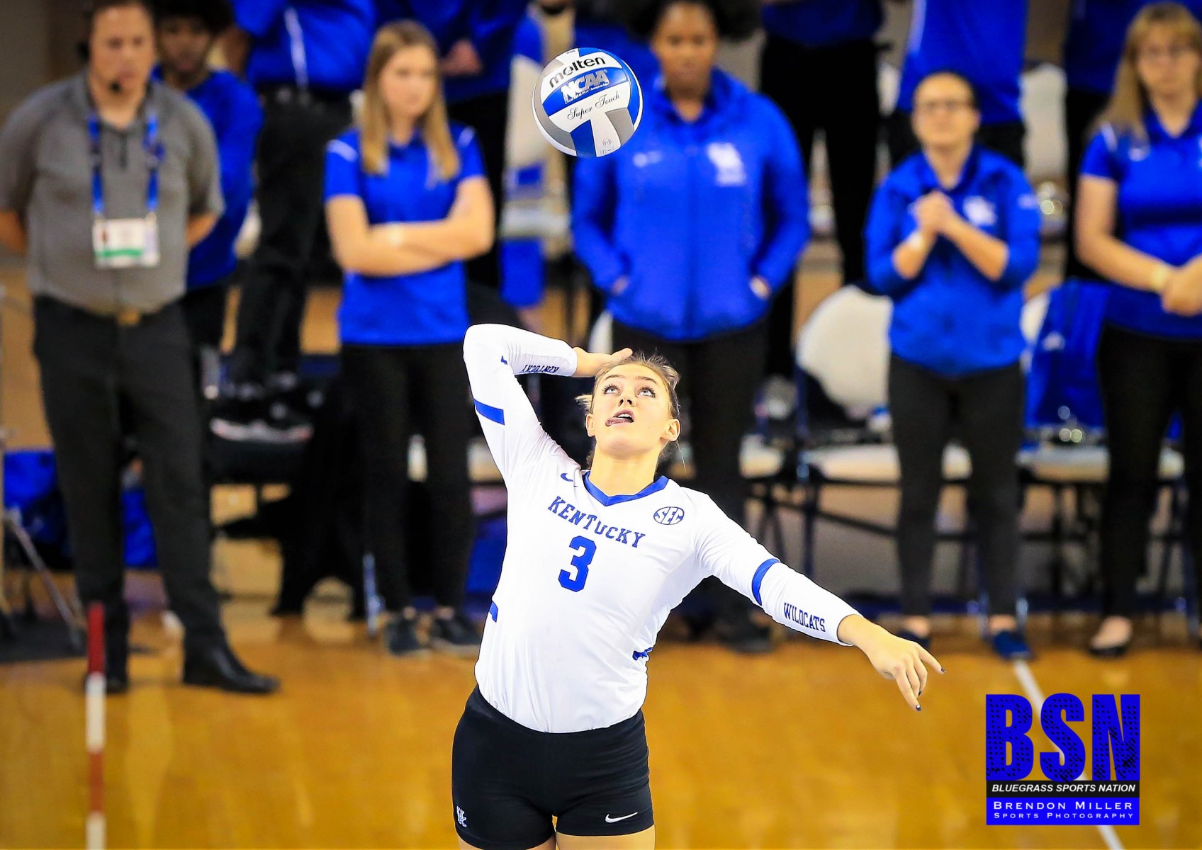 Kentucky volleyball slotted No. 10 in AVCA preseason top 25 poll