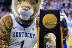 20190126-Cat-with-National-Champ-Trophy-833x1250