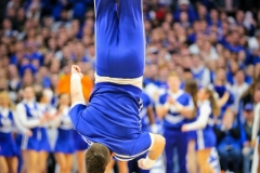20190126-Cheer-upside-Down-833x1250