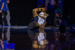 IMG_8604-1