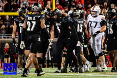 DSC01903-Enhanced-NR