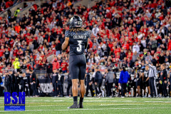 DSC01932-Enhanced-NR