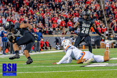 DSC01943-Enhanced-NR