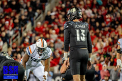 DSC01982-Enhanced-NR