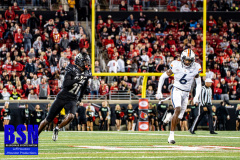 DSC02279-Enhanced-NR