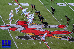 DSC02601-Enhanced-NR