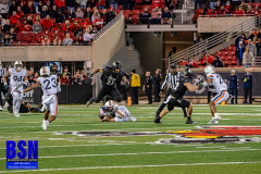 DSC02835-Enhanced-NR