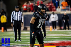 DSC03117-Enhanced-NR