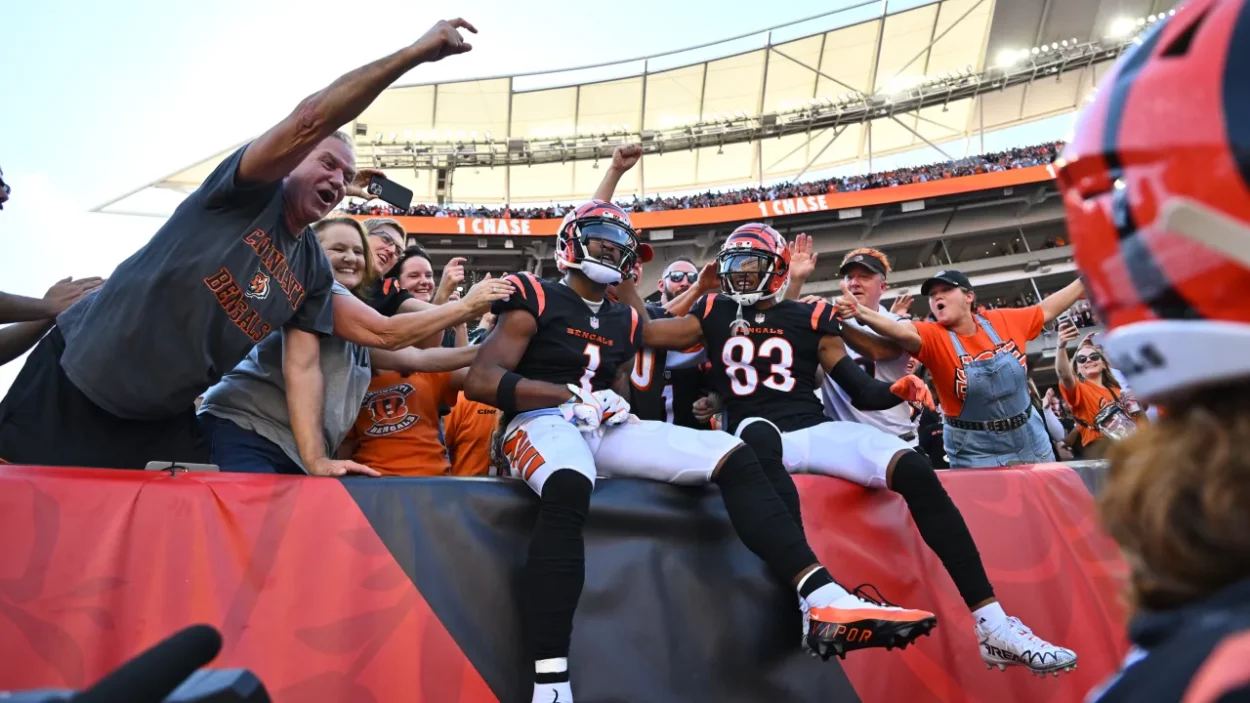 Walk-Off Thoughts Following Cincinnati Bengals' 35-17 Win Over